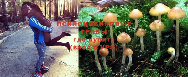 круглые Переславль-Залесский