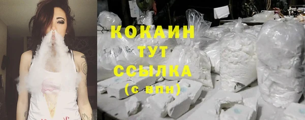 стафф Пестово
