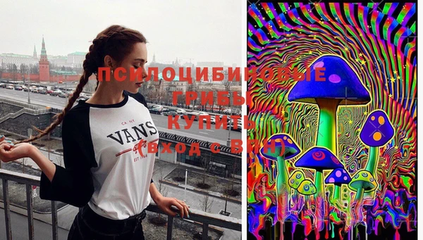 стафф Пестово