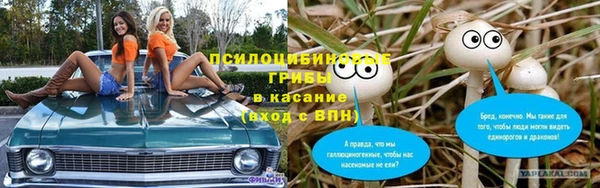 apvp Покачи