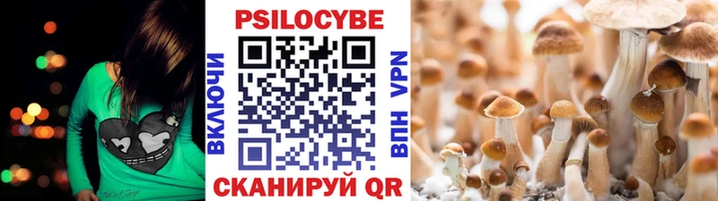 Галлюциногенные грибы Psilocybine cubensis  Купить  Поронайск 